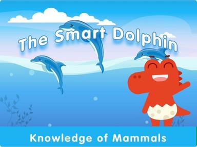 The Smart Dolphin