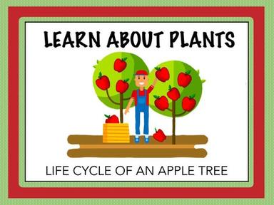 Learn About Plants - Apples