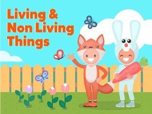 Living And Non Living Things