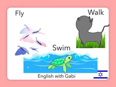 Fly Swim Walk | פעלים באנגלית