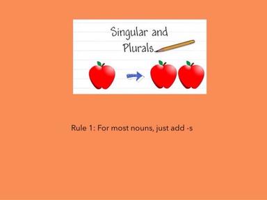 Singular And Plural Nouns