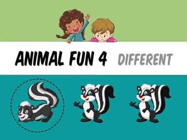 Animal Fun 4 - Different