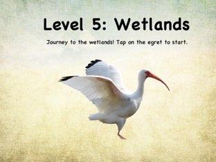 Life In The Biome: Level 5 - Wetlands