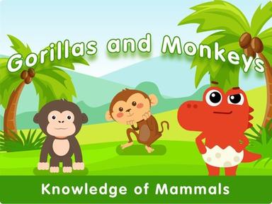 Gorillas and Monkeys