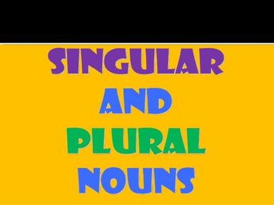 Singular And Plural Nouns