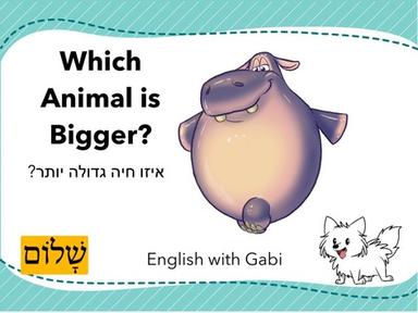  Which Animal is Bigger גדלים לקטנים 