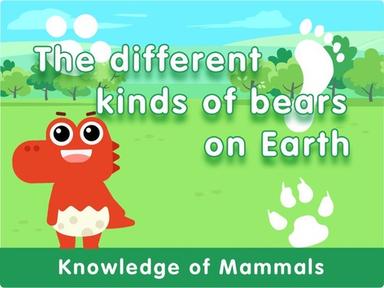 The different kinds of bears on Earth 