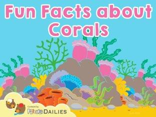 Fun Facts About Corals