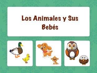 Los Animales y sus Bebés