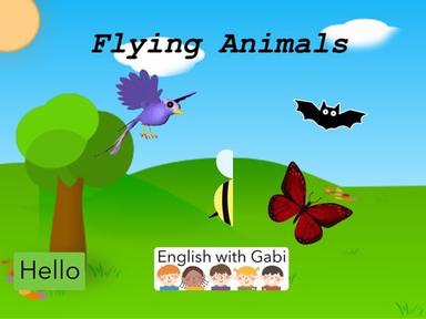 Flying Animals in English