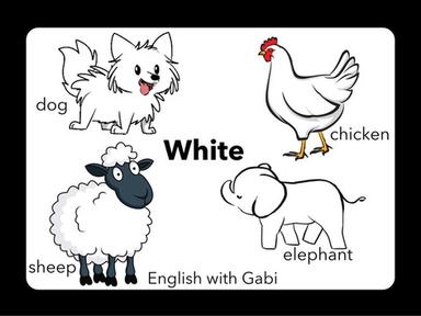 White Dog  Chicken Elephant Sheep