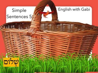 Simple Sentences 5