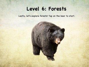 Life In The Biome: Level 6 - Forests