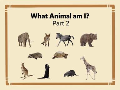 What Animal am I? - Part 2