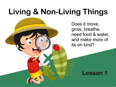 Living And Non-living Things 1 