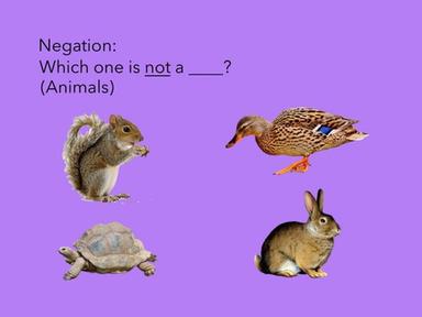 Negation: Which One Is Not ___? (Animals)