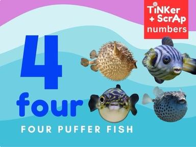 Count 4 Pufferfish