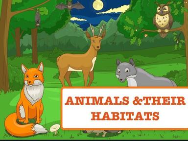 Animals & Their Habitats