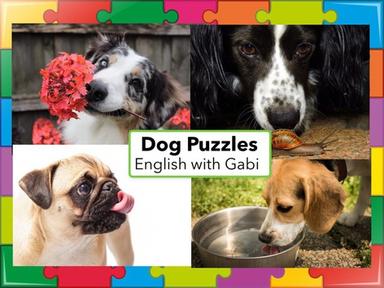 Dog Puzzles