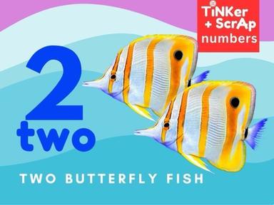 Count 2 butterfly Fish