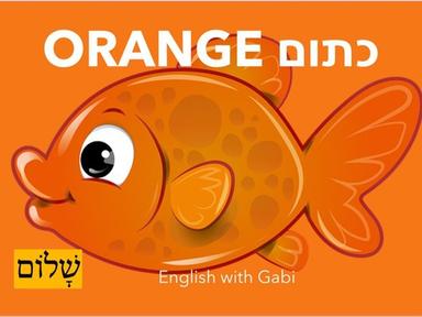 Orange כתום- לימוד צבעים באנגלית לקטנים