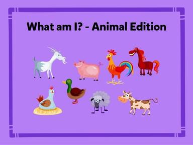 What am I? - Animal Edition 