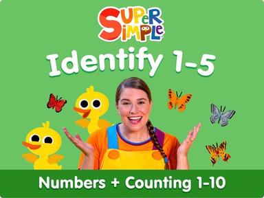 Identify The Numbers 1-5