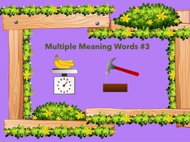 Multiple Meaning #3