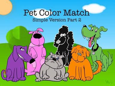 Pet Color Match 2