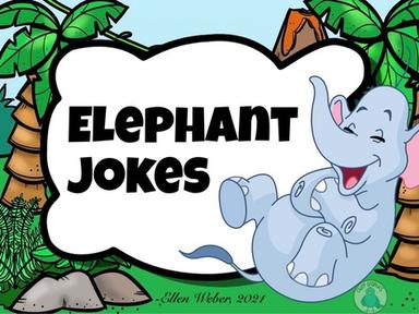 Elephant Jokes