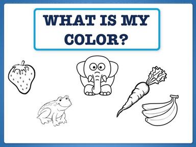 What Is My Color?