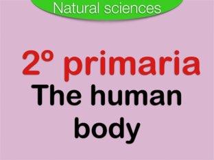 The Human Body