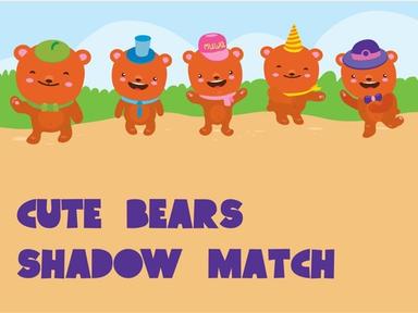 Cute Bears Shadows Match