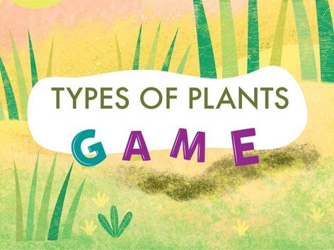 Types Of Plants