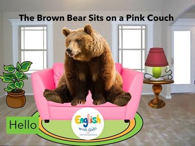 Brown Bear, Pink Couch