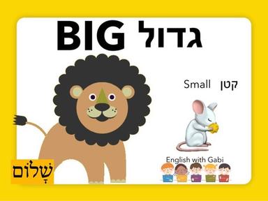 Big & Small  גדלים באנגלית