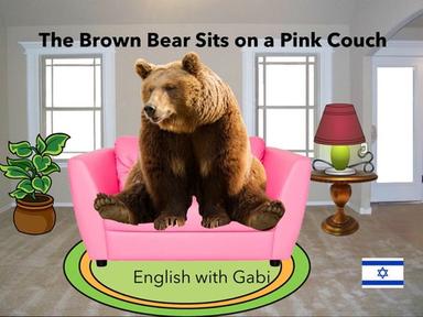 Brown Bear Sits on a Pink Couch | צבעים באנגלית