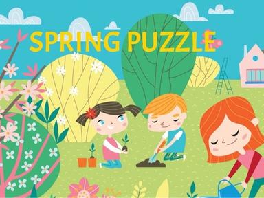 Spring Puzzle