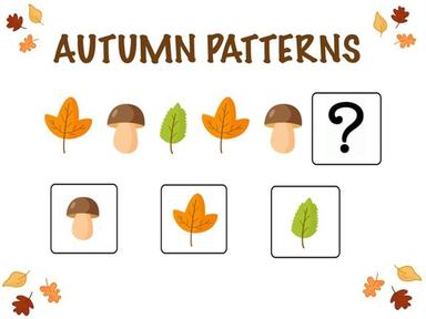 Autumn Patterns