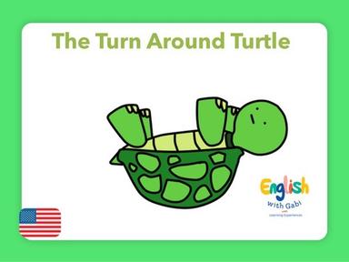 The Turn Around Turtle- Adjectives & Nouns 