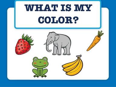 What Is My Color?