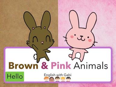 Brown & Pink: Bear Lion Rabbit Mouse