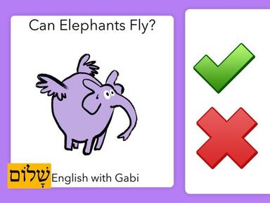 Can Elephants Fly?