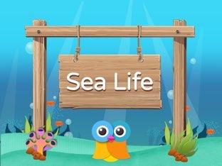 Wikids - Animals: Sea Life 