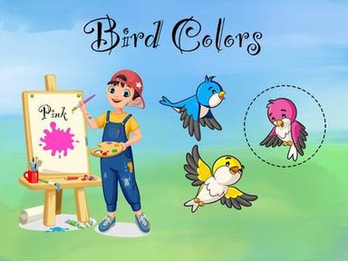 Bird Colors - Matching