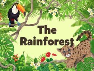 The Rainforest