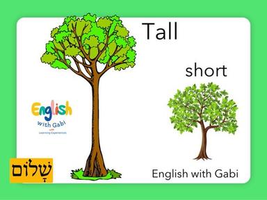 Tall and Short- Opposites in English