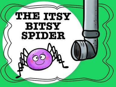 Itsy Bitsy Spider