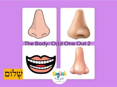 The Body: Odd One Out 2- לימוד חלקי גוף באנגלית לקטנים