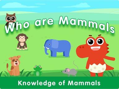 Who are Mammals？